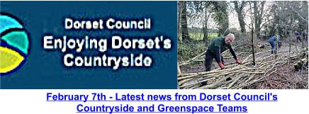 February 7th - Latest news from Dorset Council's Countryside and Greenspace Teams