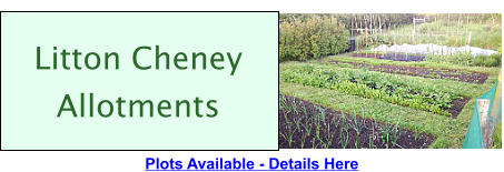 Litton Cheney Allotments Plots Available - Details Here