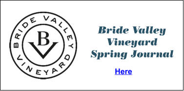 Bride Valley Vineyard Spring Journal Here