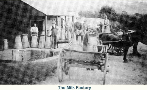 The Milk Factory