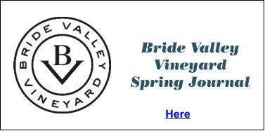Bride Valley Vineyard Spring Journal Here
