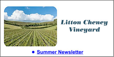 •	Summer Newsletter  Litton Cheney Vineyard