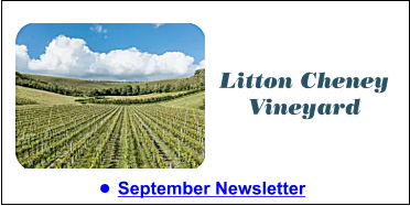 •	Summer Newsletter  Litton Cheney Vineyard •	September Newsletter  Litton Cheney Vineyard