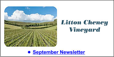 •	Summer Newsletter  Litton Cheney Vineyard •	September Newsletter  Litton Cheney Vineyard